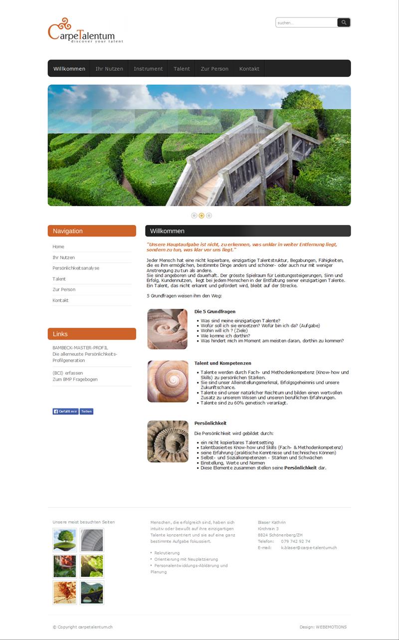 Carpe_Talentum_-_Hauptnavigation_-_Willkommen